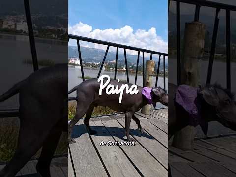 Paipa y Palermo - Boyacá 🇨🇴 #gitanaporelmundo