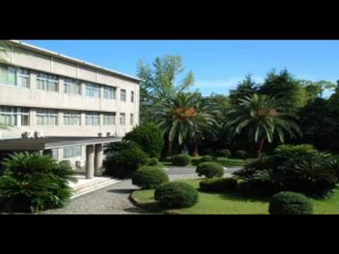 経済学科 香川大学経済学部 逍遥歌