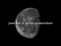 Ben Howard - Depth over distance Lyrics video