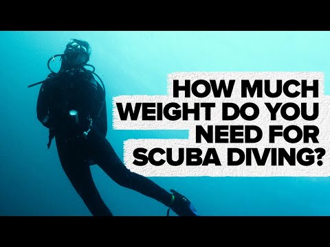 How Much Weight Do You Need For Scuba Diving?