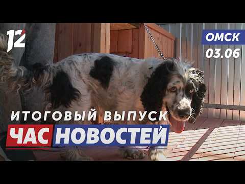 Хвостатые сотрудники депо / Рейд по омским пляжам / Новый шанс для студентов. Новости Омска