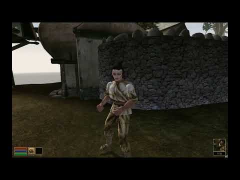 Vanilla Faces Male Female - Morrowind Mod