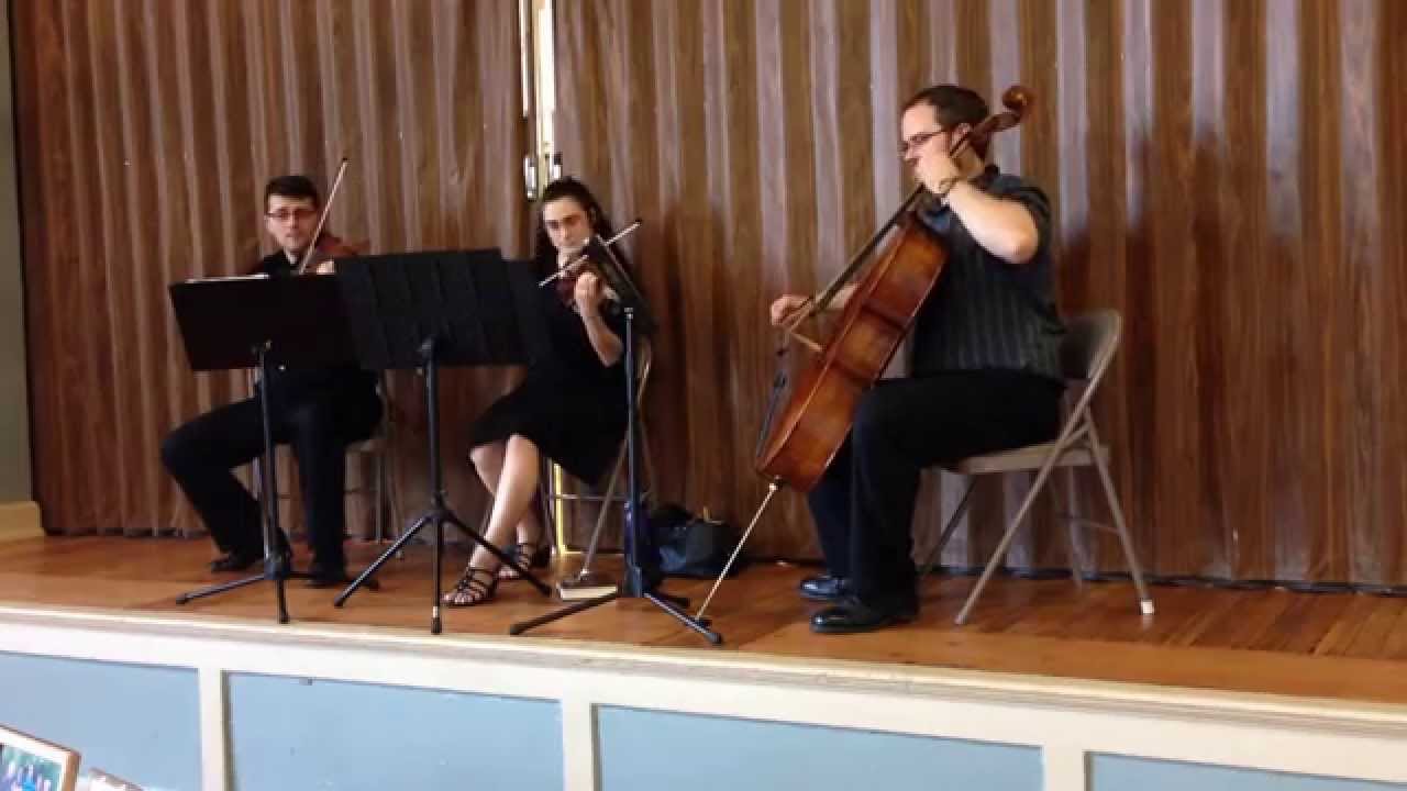 Promotional video thumbnail 2 for Strings in One