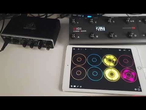 Loopy Pro with Midi Commander - mimic RC300 dual foot buttons for track - part 1