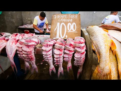 Amazon Street Food in Belém - UNBELIEVABLE TACACÁ + 13 Lady’s Cooked Lunch at Market in Brazil!