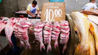 Amazon Street Food in Belém - UNBELIEVABLE TACACÁ + 13 Lady’s Cooked Lunch at Market in Brazil!