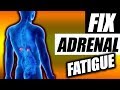 Adrenal Fatigue | What it is & How To Fix it