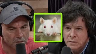 Bad News for Science: America’s Lab Rats May Be Mutants