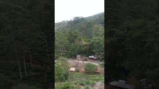 Download lagu kolam renang jamus Ngawi di lihat dari ketinggian mp3
