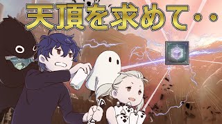 【ニーアリィンカーネーション】ヒカセンのリィンカネ『天頂を求めて・・!』【リィンカネ】
