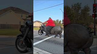 Download lagu wait for twist,🤣😂😱 #shorts #viral #funny #shortvideo #viralvideo #viralshorts #aivideo #foryou mp3