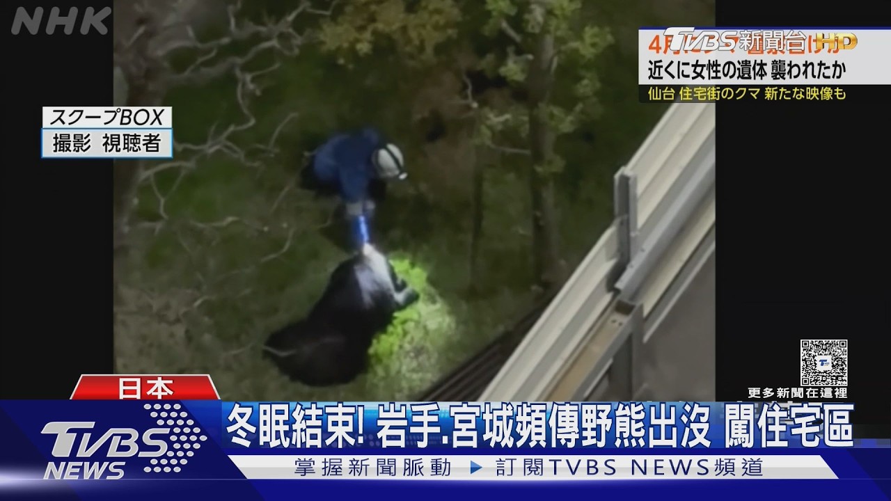 影音/日本野熊結束冬眠出沒!員警入山搜人遭襲 女性遺體也被發現