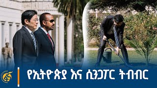 የኢትዮጵያ እና ሲንጋፖር ትብብር