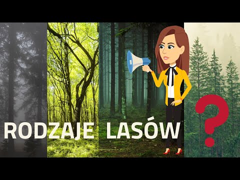EduKredka -  Rodzaje lasów odc. 2 z 4