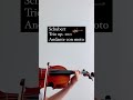 Schubert - Trio op. 100 - Andante con moto #music #shortvideo #shorts #short #classic - Une Musicienne Schubert - Trio op. 100 - Andante con moto #music #shortvideo #shorts #short #classic