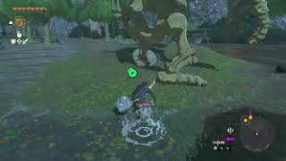 Zelda Tears of the Kingdom Stalnox Location Hanu Pond West Necluda Skeletal Hinox Boss