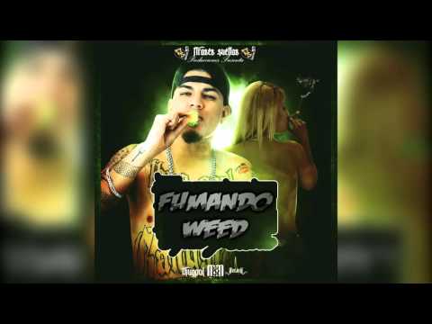 03 - Thug Pol // Fumando weed (Mixtape Mujeres&Mota) // FS Producciones