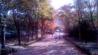 5월12일 -공일오비