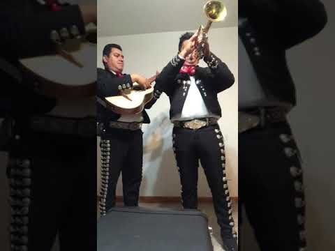 Promotional video thumbnail 1 for Mariachi Show Los Reyes