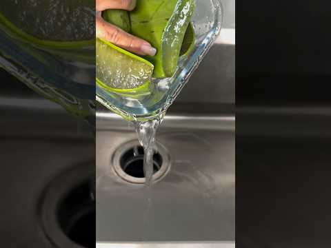How to remove poison in aloe vera plant for hair growth pt.1  #shorts #hair