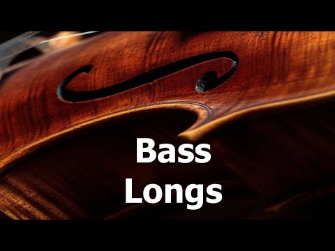 Studio Quartet Series Deep Solo Bass 8Dio Long Presets Demo