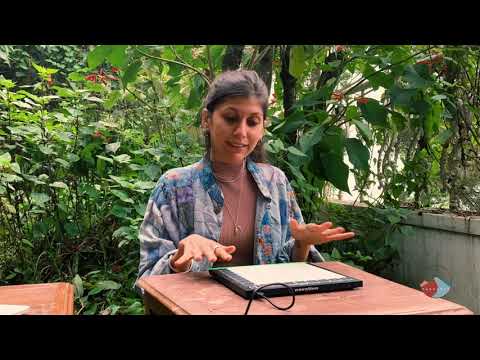 How to build a track with Novation Launchpad X | Sandunes