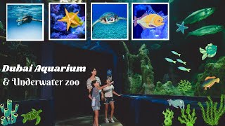 Dubai Aquarium & Underwater Zoo | Dubai Trip Vlog