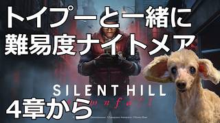 トイプーと見るサイレントヒルタウンフォール4章