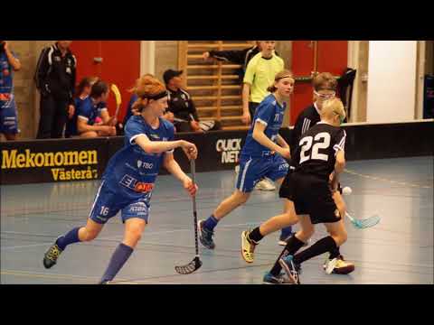 2017 11 26 Skälby Arboga