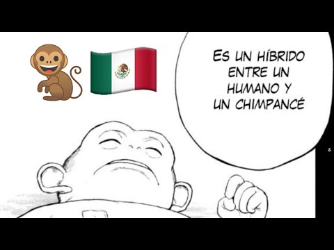 Proudly Mexican 🐒🇲🇽