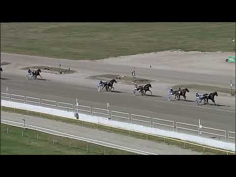 Napoli Trotto 15/09/2023 - 1ª prova di qualifica