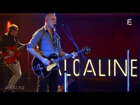 Alcaline, le Mag : Dominique A - Éléor en live
