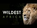 Okavango Water In The Desert Wildest Africa 4K