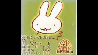 Sonic Dragolgo - My Sweet Honey Bunny