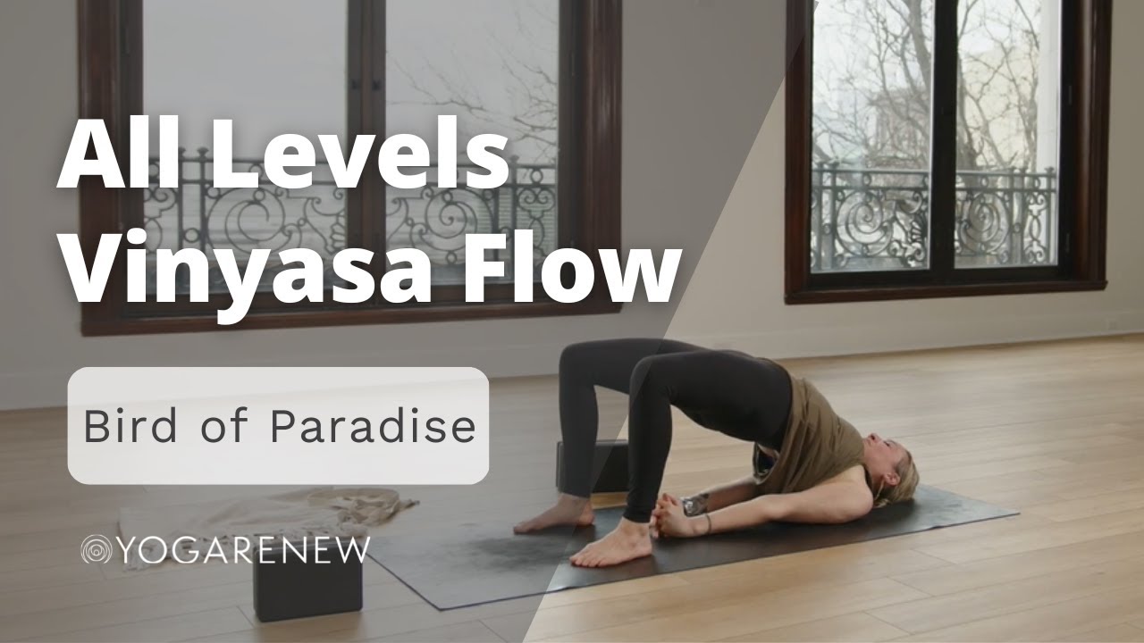 Open Level YogaRenew Vinyasa Flow | Bird of Paradise with Lisa Bermudez