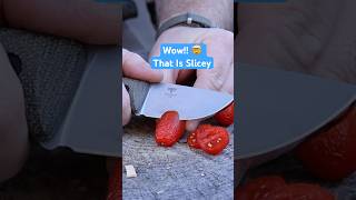 Mini Fixed Blade You Will Want To EDC!
