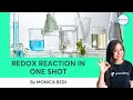 Class 11 Redox Reactions One Shot Chemistry Unacademy Class 11 12 Monica Bedi