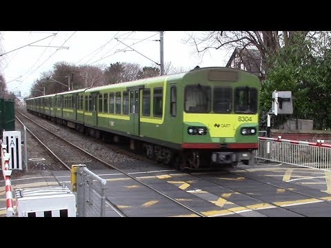 Sydney Parade Railway Crossing - IE Dart Train Number 8304
