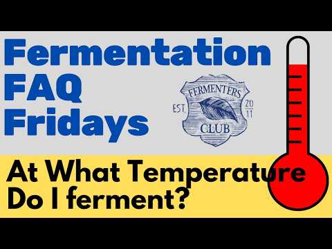 Optimal Fermentation Temps: Your FAQ Friday Guide
