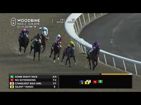 Woodbine, December 8, 2018 - Race 2