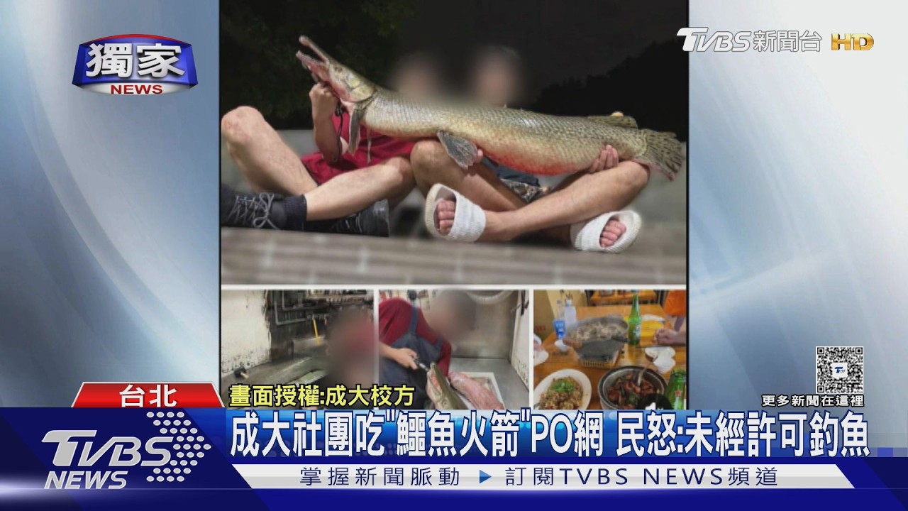 獨家影音／成大校友偷釣鱷雀鱔！料理影片瘋傳　副校長證實