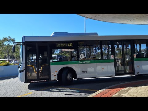 [Many Choices] Transperth Bus Route No. 442 (TP2159) Whitfords Station to Warwick Station