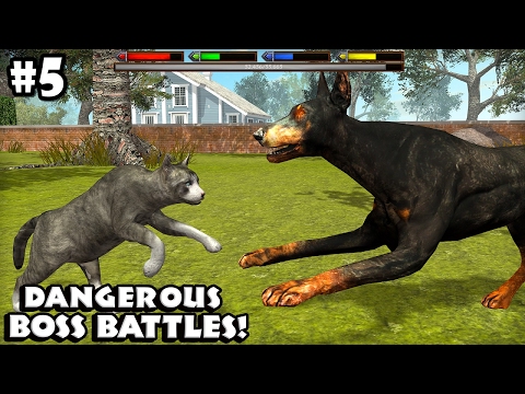 Ultimate Cat Simulator - Boss Battles - Android/iOS - Gameplay Episode 5 - YouTube