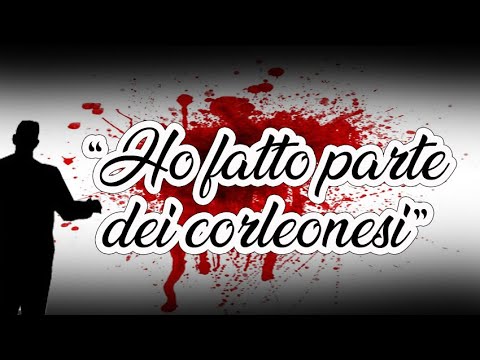 Bagarella si faceva una risata Gioacchino La Barbera processo 1 Parte a Matteo Messina Denaro