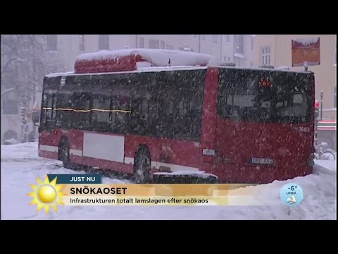 Här slår ministern ifrån sig om snökaoset: "Kan inte ha beredskap för detta" - Nyhetsmorgon (TV4)