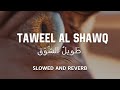 Taweel Al Shawq Slowed Reverb