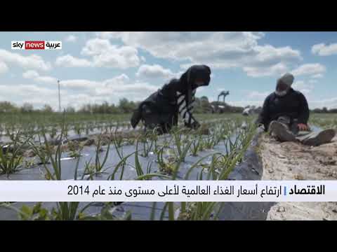 جيش من الفئران _ يغزو #أستراليا_ ويربك العالم . . .