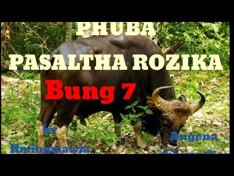 PHUBA PASALTHA ROZIKA 7