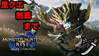 【MHRise】【PC】太刀で全てをぶった斬る配信 #4