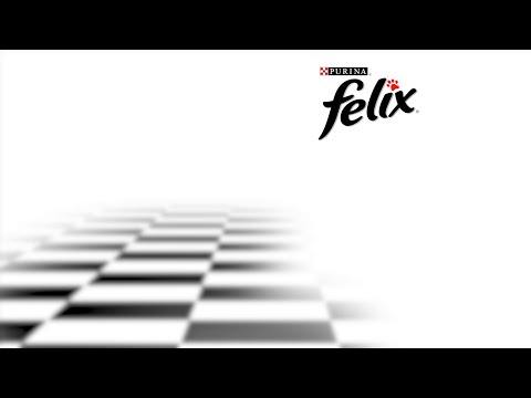 It's Great To Be A Cat - Rumba